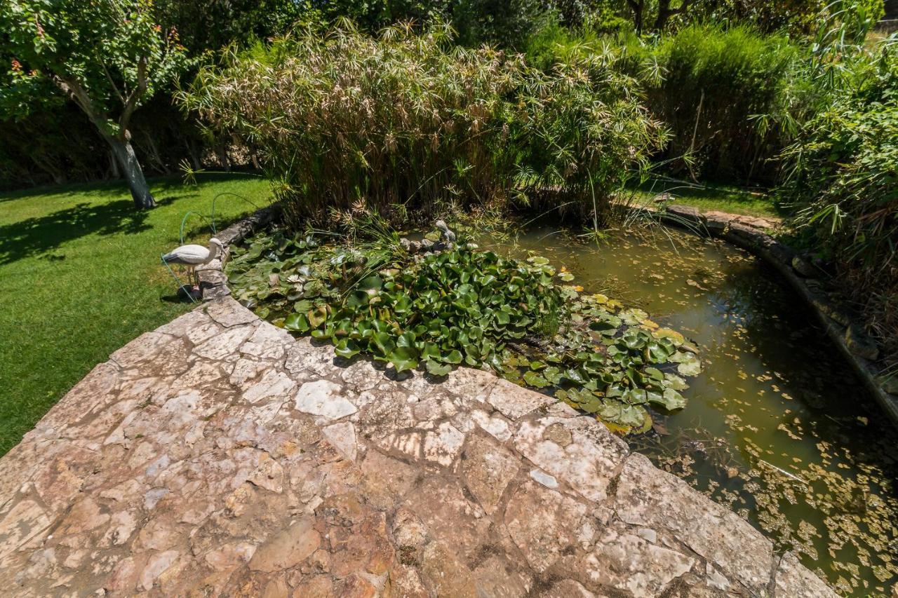 Апартаменти Quinta Das Portelas Лагуш Екстер'єр фото